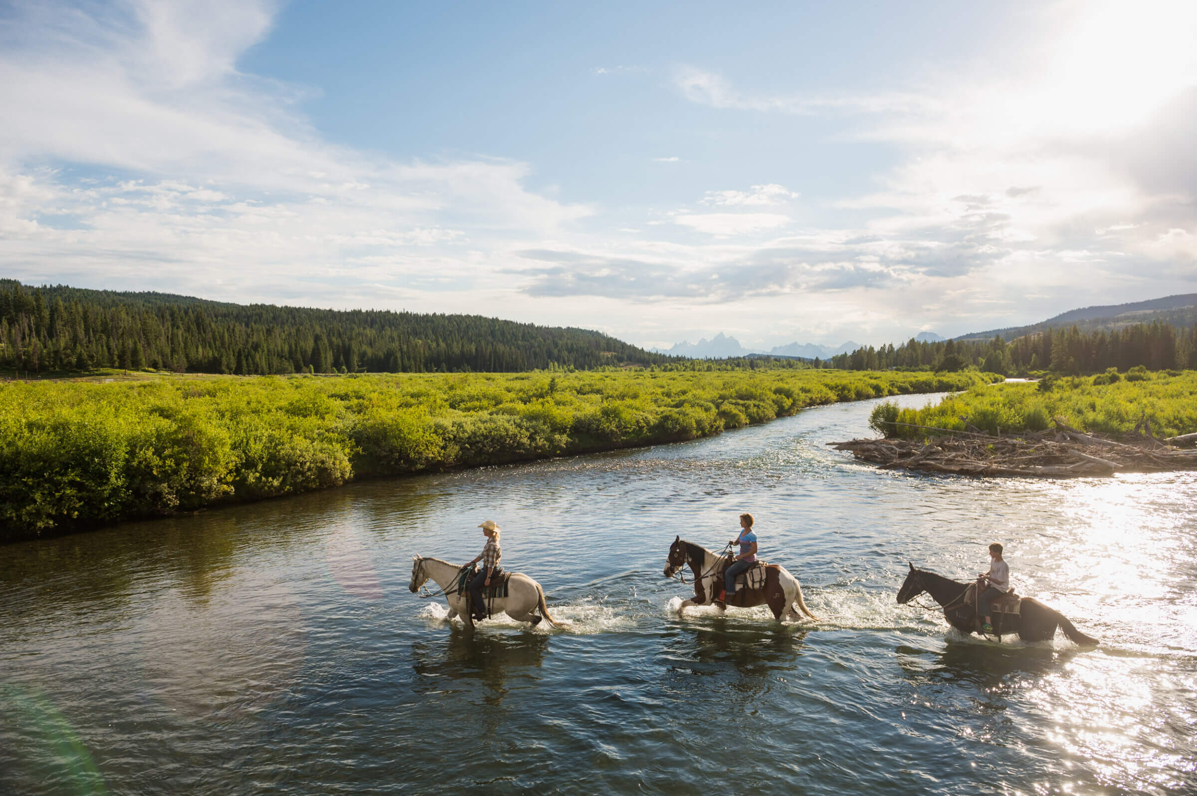 Horseback riding in Jackson Hole.